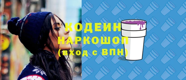 соль ск Бородино